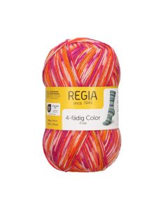 Regia 4-Ply Color Self Patterning Sock Yarn 100g Skein - Vermont Graphit Col. 06029